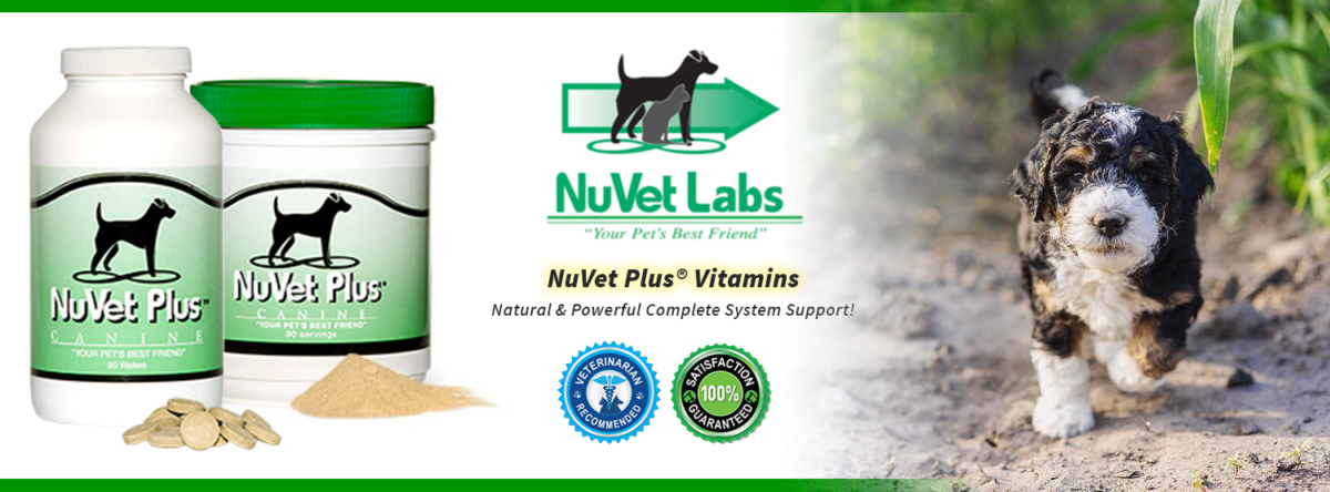 NuVet Plus Vitamins