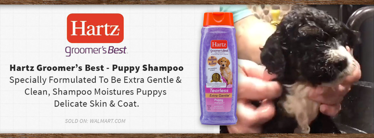 Recommended Products - Hartz Groomers Best - Puppy Shampoo