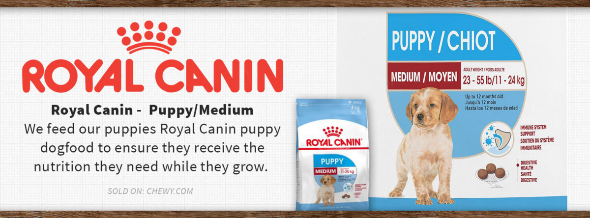Recommended Products - Royal Canin - Dog Food