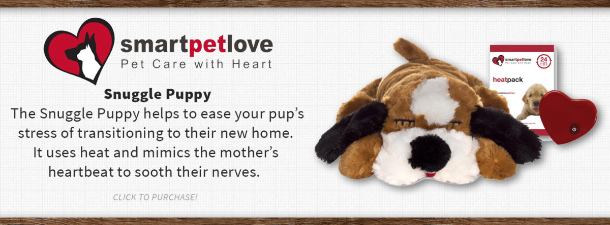 Recommended Products - Smart Pet Love - Snuggle Puppy